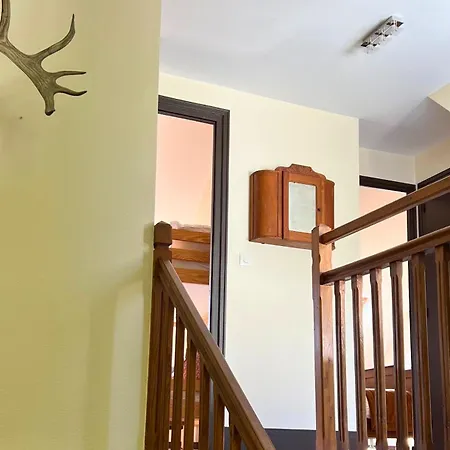 La Sirena - Face Et Nausicaa